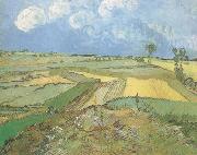 Vincent Van Gogh Wheat Fields at Auvers under Clouded Sky (nn04) Germany oil painting reproduction